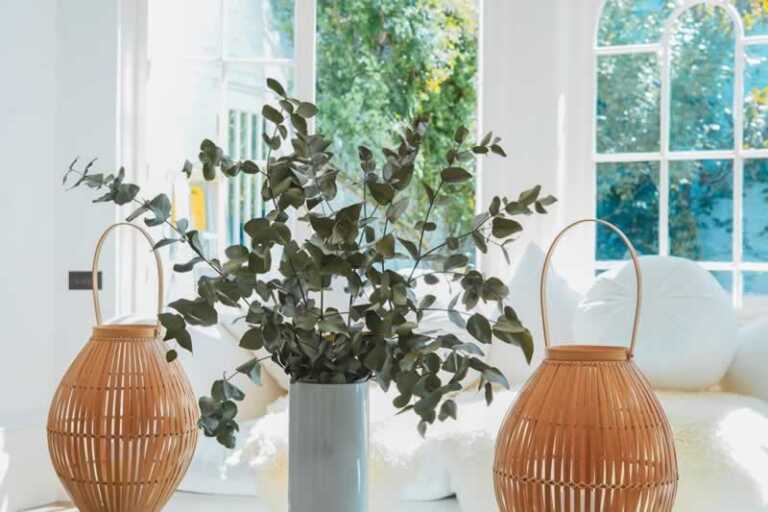 Why Every House Needs Amid Renovation