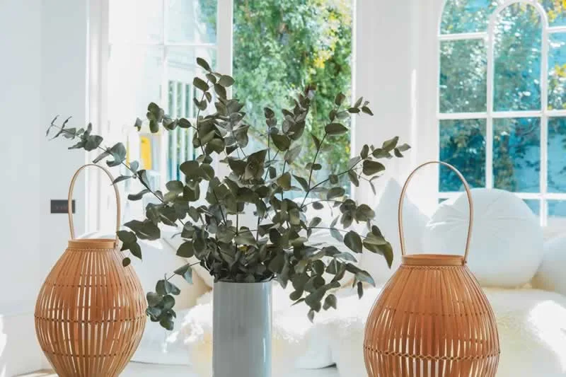 Why Every House Needs Amid Renovation