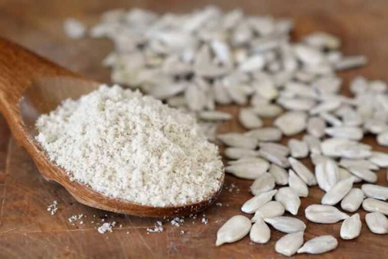 Why Should You Purchase Sunflower Seeds Flour