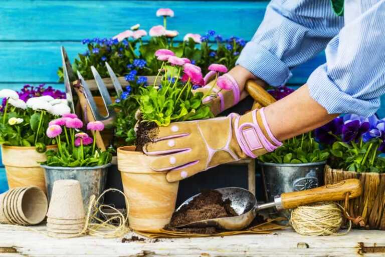 10 Tips for An Effortless Garden