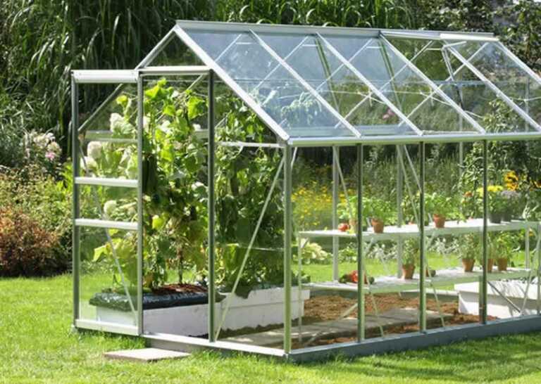 4 Ways to Keep Your Greenhouse Cool in Summer