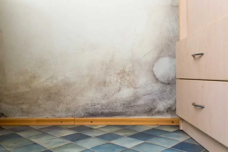 7 Household Issues That Should Make You Consider Home Renovation Right Away