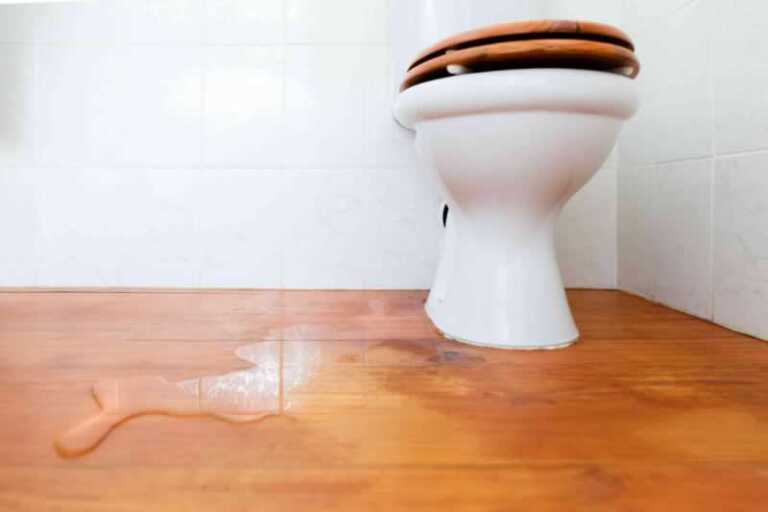7 Signs Of A Hidden Bathroom Water Leak
