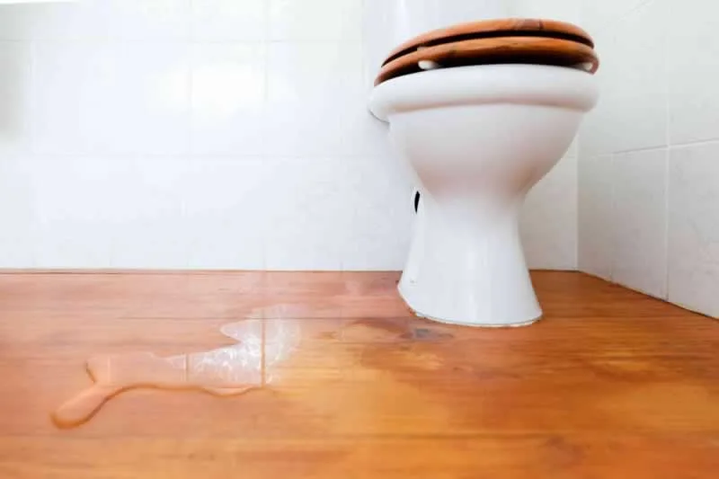 7 Signs Of A Hidden Bathroom Water Leak