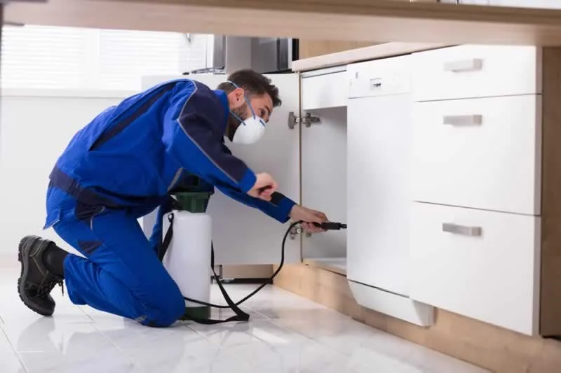 How Much Do Pest Exterminators Cost