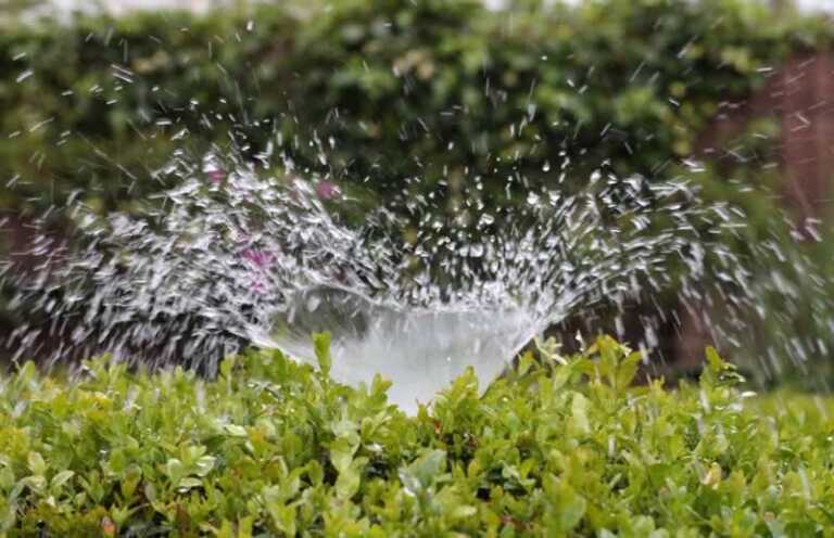How To Water Your Garden
