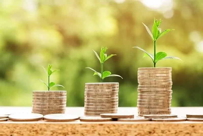 Learn How To Always Make Informed Financial Decisions In Life