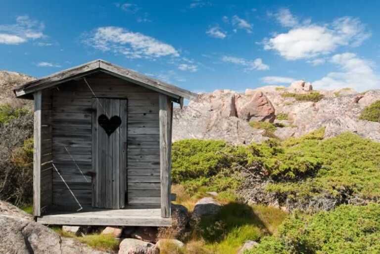 Thinking Of Building A Shed In Your Garden