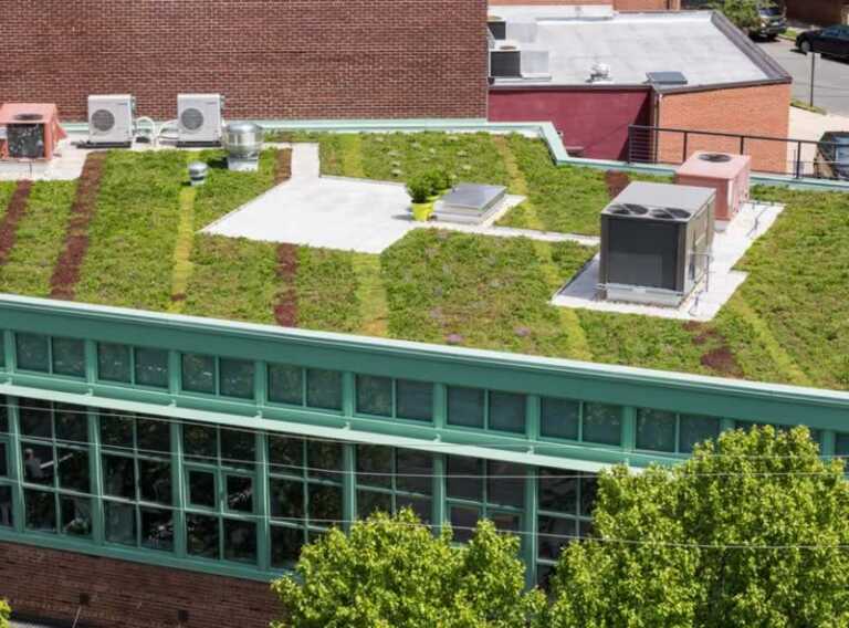 Three Advantages to Going Green in Roofing and Contracting