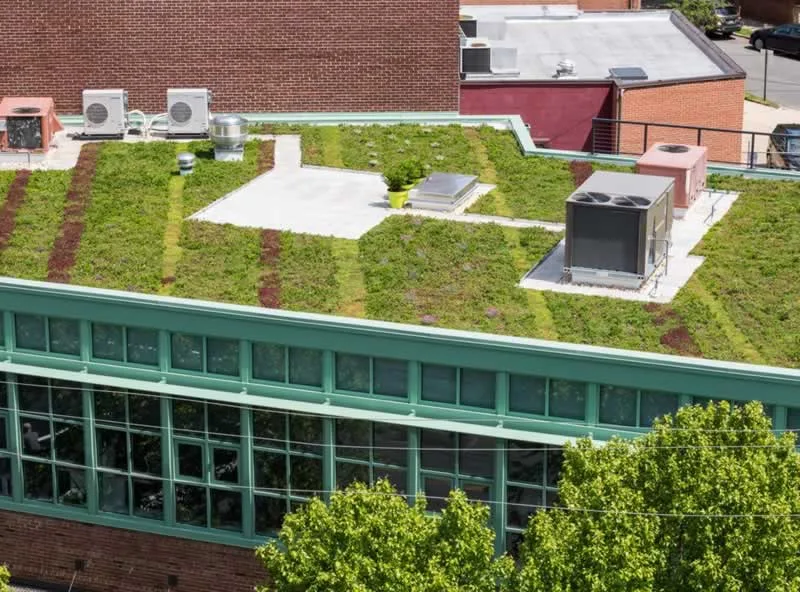Three Advantages to Going Green in Roofing and Contracting
