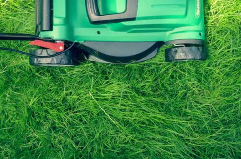 Want a Good Looking Lawn