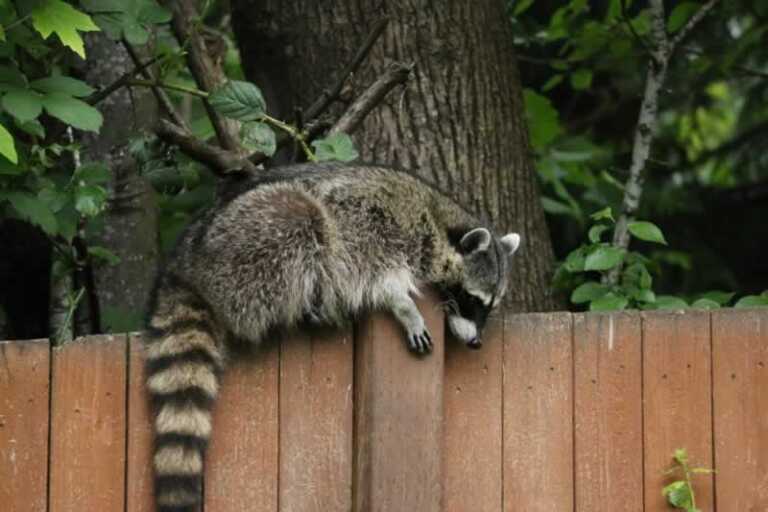 4 Hidden Threats To Your Home