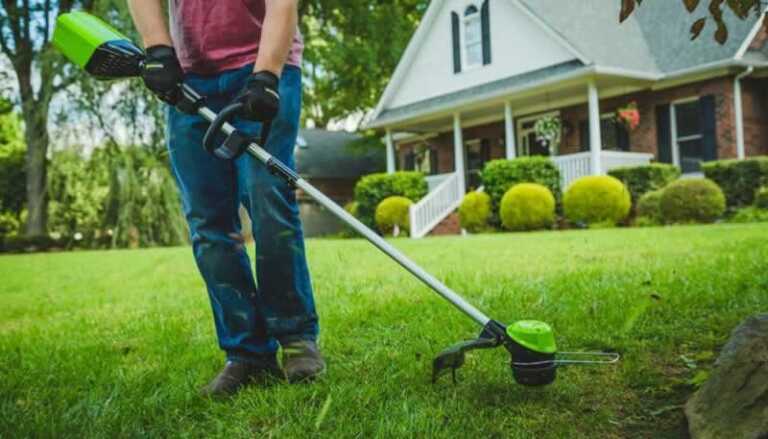 Are Gas Weed Eaters Better Than Electric