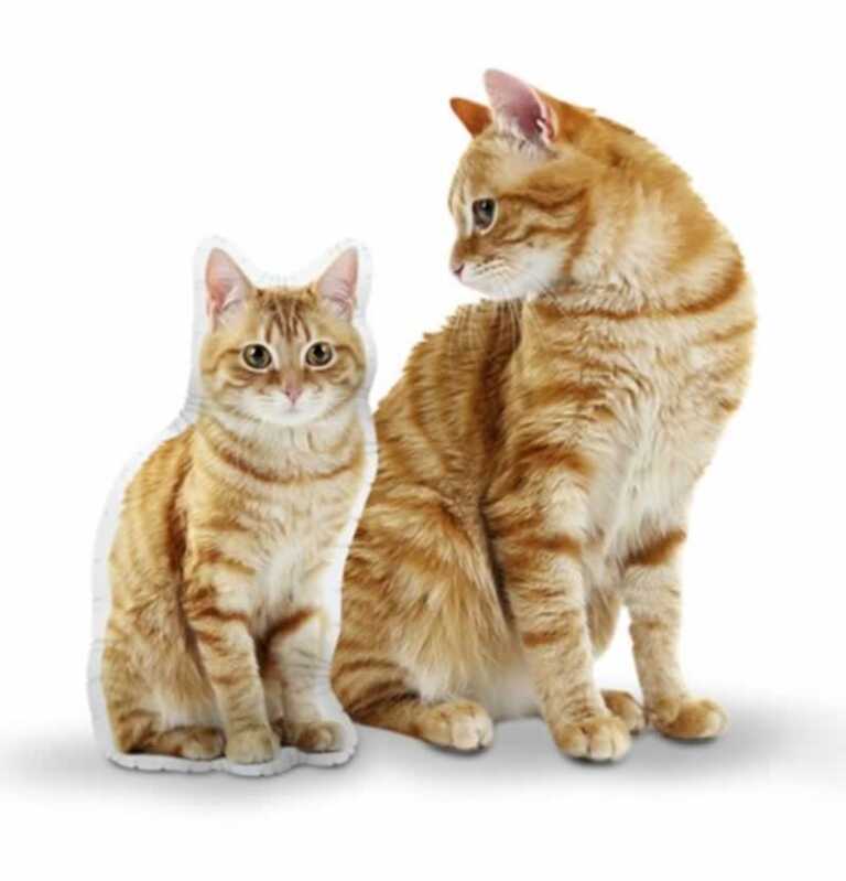 The Best Gifts for Cat Lovers That Are Perfect in Every Way