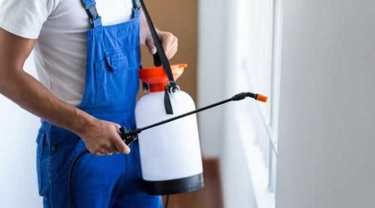10 Reasons To Use A Pest Control Company