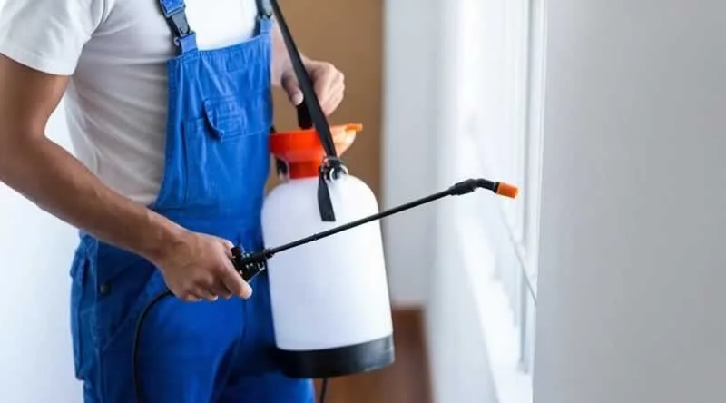 10 Reasons To Use A Pest Control Company