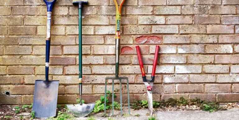 A Guide To Essential Gardening Equipment