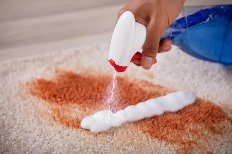 How to Clean a Carpet Stain Thoroughly