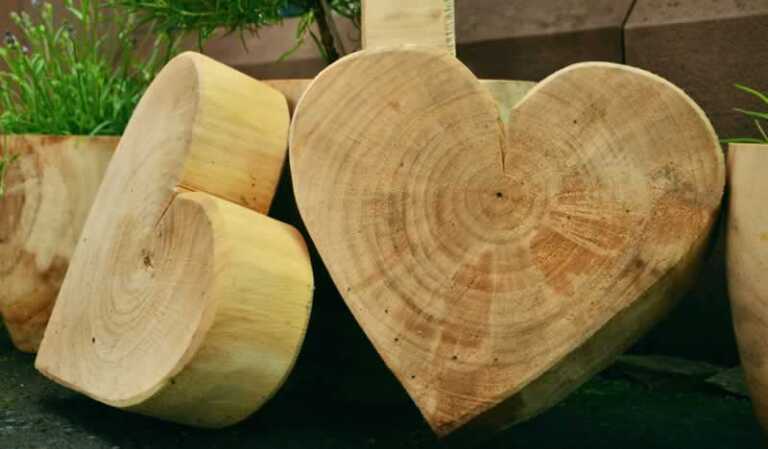 hearts carved in wood