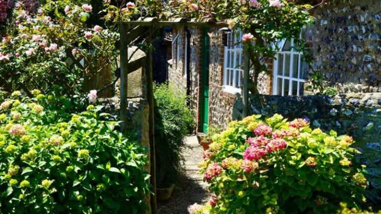 5 Ways to Enhance Your Backyard on a Budget
