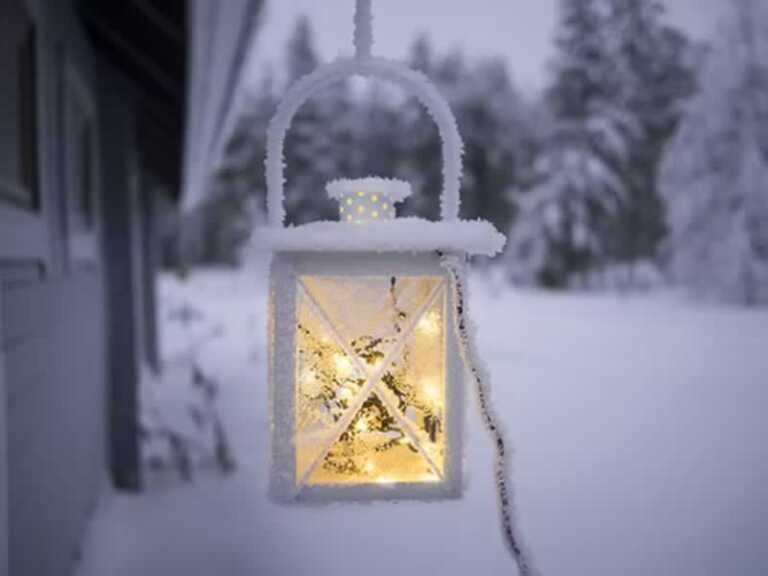 How To Prep Your Yard For Winter