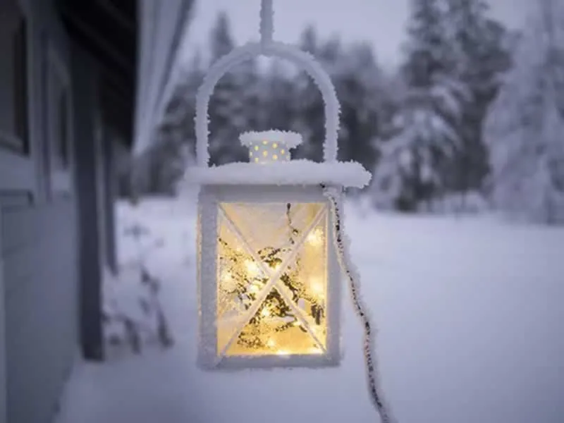 How To Prep Your Yard For Winter