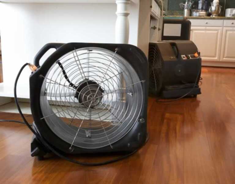 6 Steps Water Damage Restoration Pros Take to Remove Mold