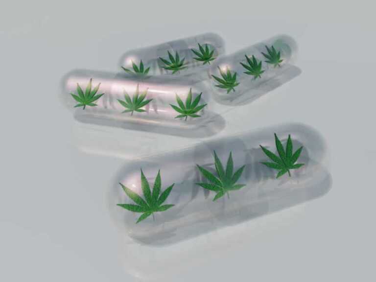 Can You Smoke Weed on Antibiotics