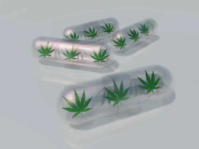 Can You Smoke Weed on Antibiotics
