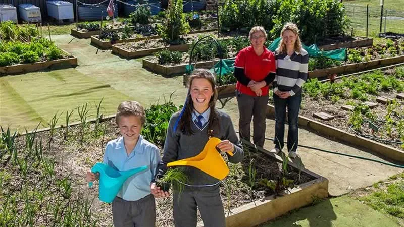 How to Start a School Garden Project for Your Students