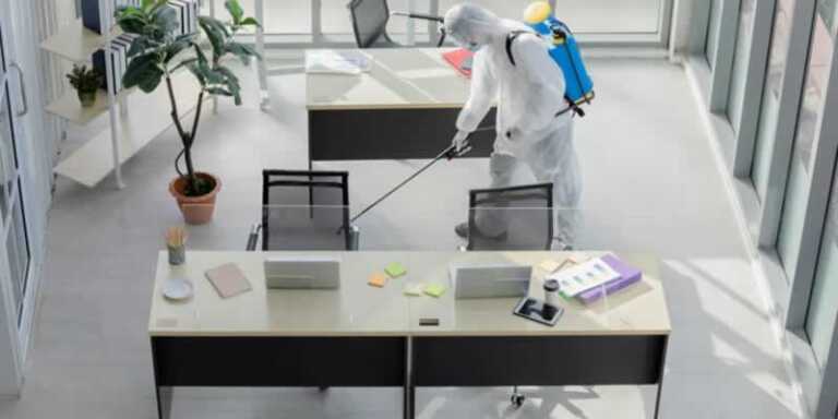Importance of Pest Control Service for an Office