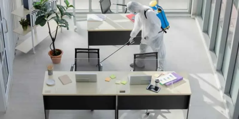 Importance of Pest Control Service for an Office