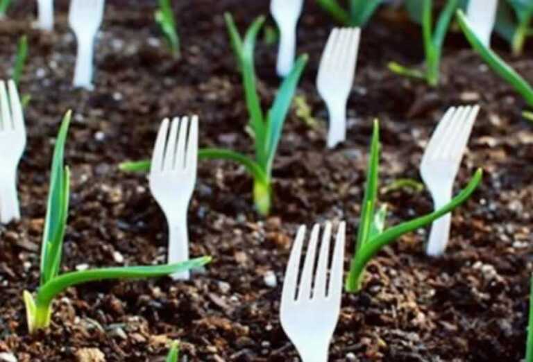 Simple Tips, Hacks, and Resources for Gardening