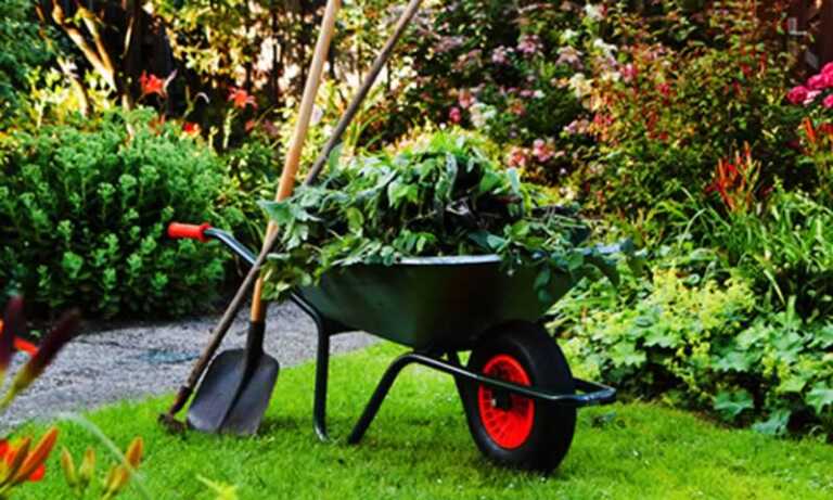 How to reduce garden maintenance expenses