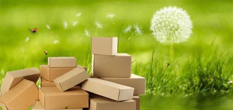 cardboard boxes on a meadow