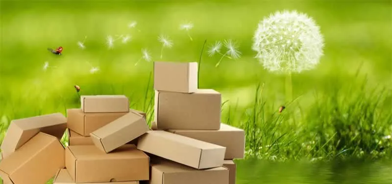 cardboard boxes on a meadow