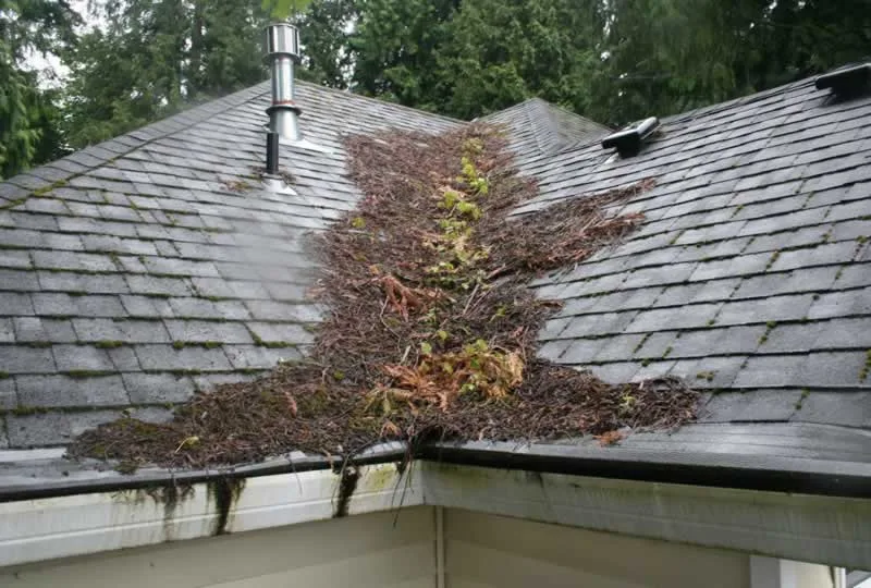 Top Tips for Your Home Roofing