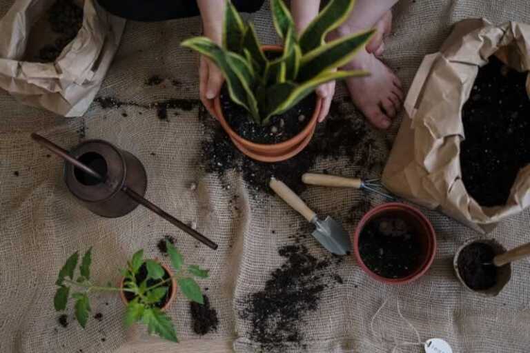 4 ways rust harms your gardening tools and equipment