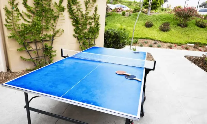Ping Pong Table As Entertainment In Your Backyard