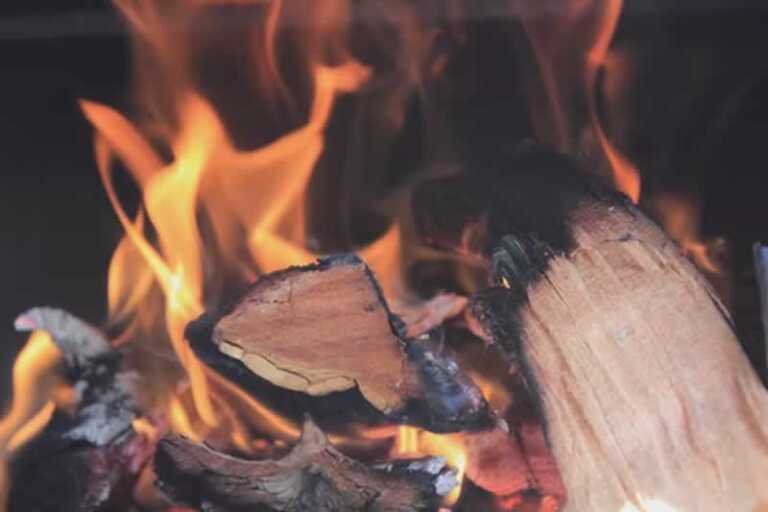 Useful Tips For Choosing The Ideal Firewood For Your Needs