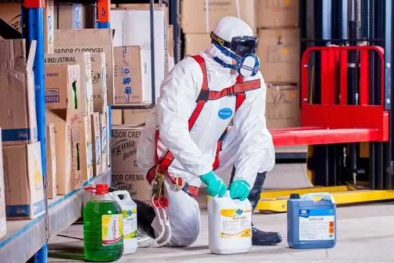 What To Expect From a Termite Control Service in Malaysia