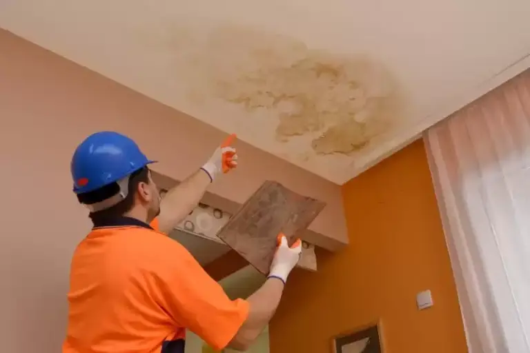 7 Usual Causes of Roof Leakage