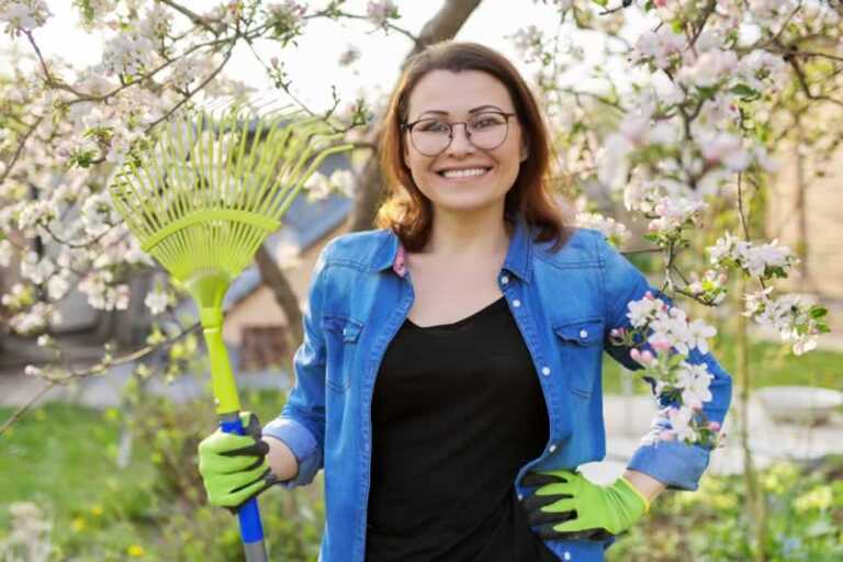A Basic Guide To Spring Cleaning Your Yard