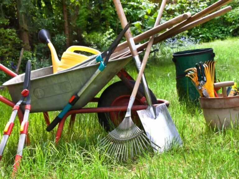 Essential Tools For Garden Projects