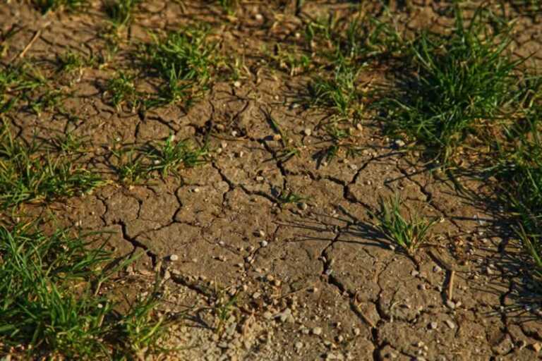 How To Protect The Soil From Erosion