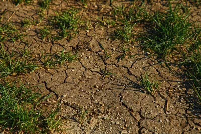 How To Protect The Soil From Erosion