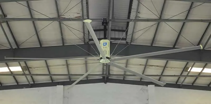 The Reason HVLS Fans Are the Best for Crowded Places