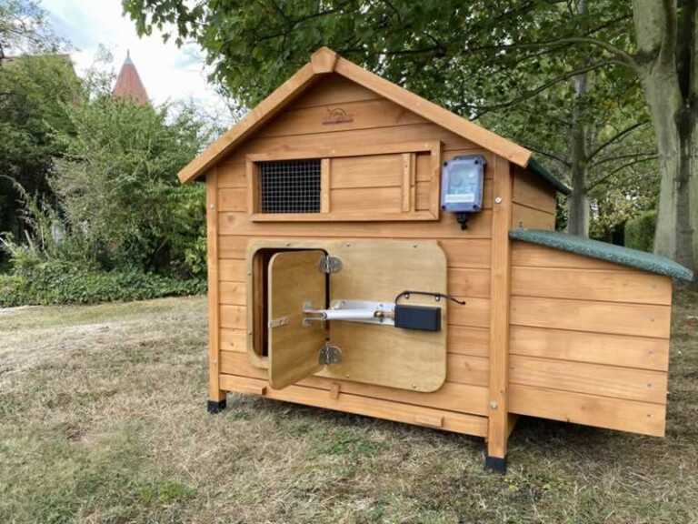 Top Benefits of Having Automatic Chicken Coop Doors