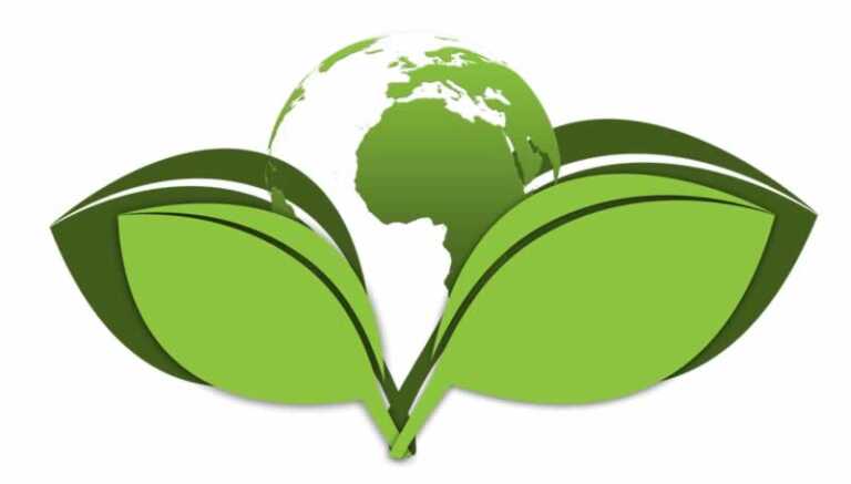 What is a Rendering Plant