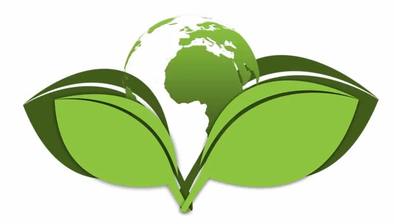 What is a Rendering Plant